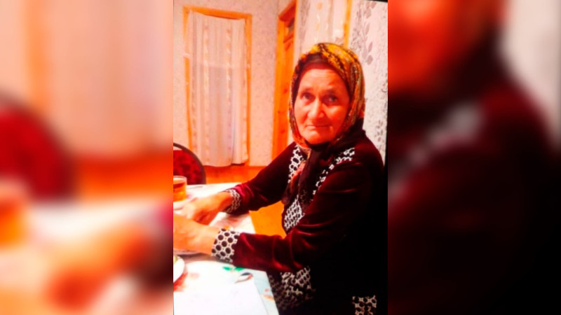 Göyçayda 69 yaşlı qadın itkin düşüb