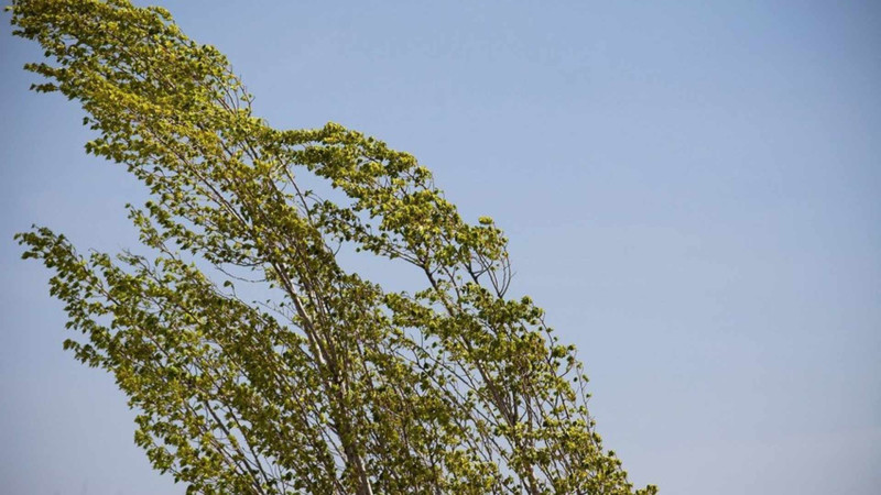 Gözlənilən hava şəraiti ilə əlaqədar Fövqəladə Hallar Nazirliyinin əhaliyə müraciəti