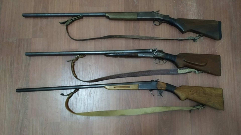 DİN: ötən gün vətəndaşlardan 40 silah götürülüb
