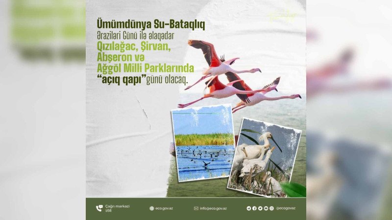 Sabah bu milli parklarda “Açıq qapı” günü olacaq