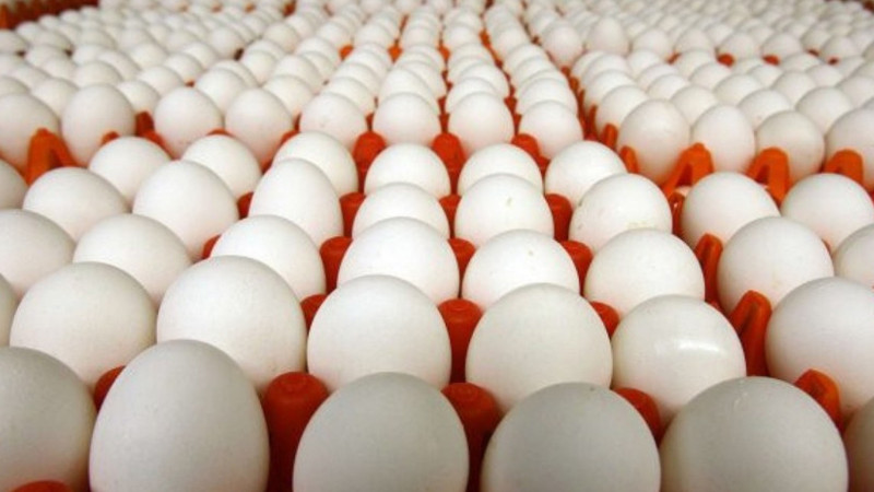 Azərbaycan yanvarda Rusiyaya 4 milyondan çox yumurta göndərib