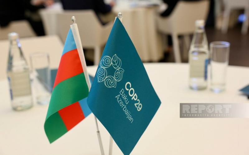 COP29-da könüllü olmaq istəyənlərin nəzərinə!