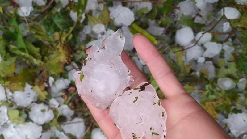 Naxçıvana dolu düşüb