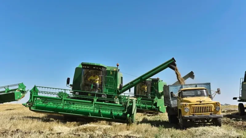 Şəkidə 61 yaşlı kişi kombaynın altında qalaraq öldü