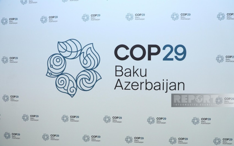 COP29 Akademiyasının fəaliyyətinə start verilib