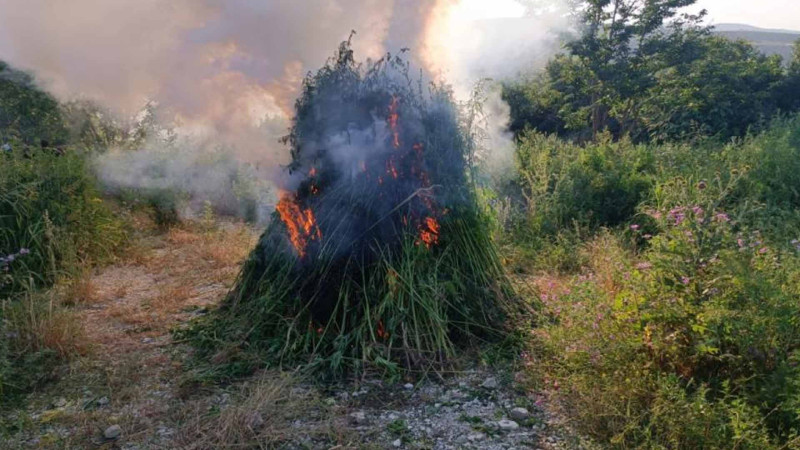 Milli Məclisin iclası başlayıb
