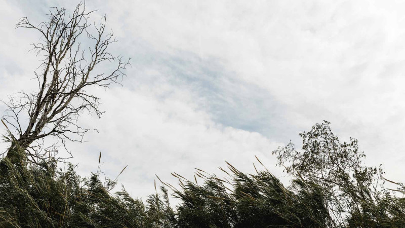 Sabah yağış yağacaq, külək güclənəcək