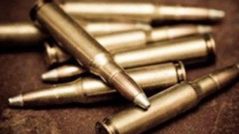 Sumqayıt sakinində 1 bıçaq və 5 güllə aşkarlanıb