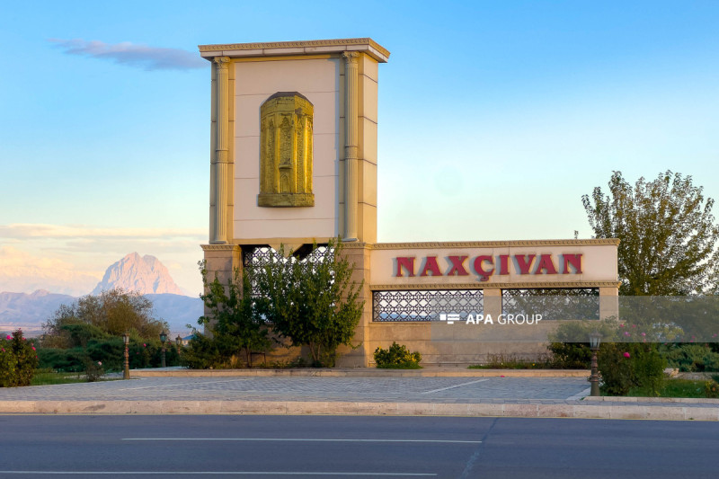 Naxçıvan Sosial Xidmәtlәr Agentliyinin fəaliyyətində nöqsanlar aşkar edilib