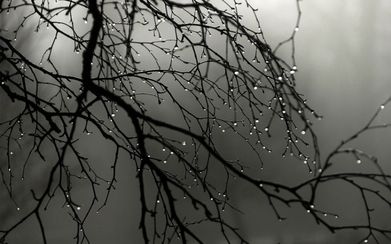 Sabah bəzi yerlərdə şimşək çaxacaq, yağış yağacaq - PROQNOZ