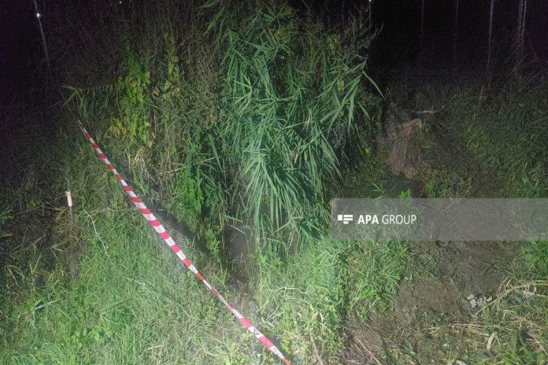 Göygöldə çayda 77 yaşlı qadının meyiti tapılıb