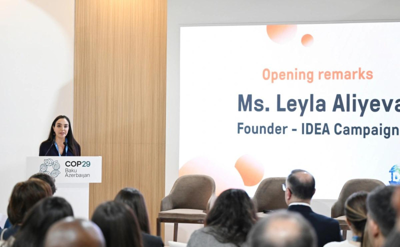 Leyla Əliyeva COP29 çərçivəsində panel müzakirələrində çıxış edib - VİDEO