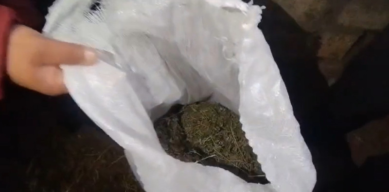Bərdədə 4 kiloqram marixuana aşkarlanıb