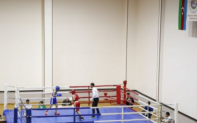 Naxçıvan Boks Federasiyası fəaliyyətini dayandırıb