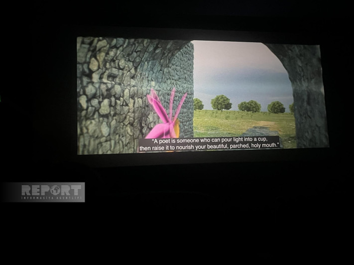 Fransada Azərbaycanın Milli Film Günü keçirilib