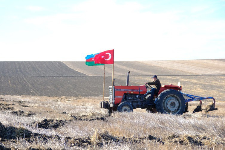 Türkiyəli fermerdən qürurverici addım: Tarlasına “Qarabağ Azərbaycandır” yazdı
