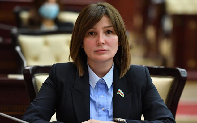 Sahil Babayev keçmiş deputata vəzifə verdi