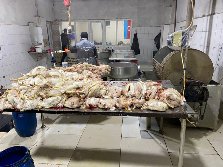 Sabunçuda ev quşlarının kəsimi məntəqəsinin fəaliyyəti məhdudlaşdırıldı - FOTO