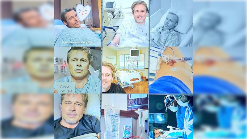 Saxta Bred Pitə görə ərindən ayrıldı, 830 min avroluq tələyə düşdü