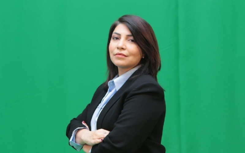 Jurnalist Afət Telmanqızının evi qarət edildi