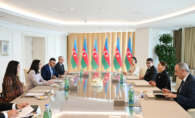 Azərbaycanın Birinci vitse-prezidenti Mehriban Əliyeva Mərakeşin xanım Şahzadəsi Lalla Hasnaa ilə görüşüb
