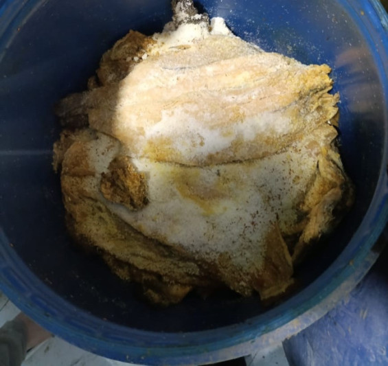 “Keşlə” bazarında istehlaka yararsız balıq məhsulları aşkarlanıb