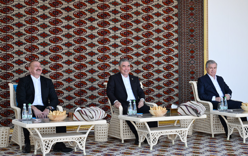 Azərbaycan Prezidenti İlham Əliyevə “Axaltəkə” atı hədiyyə edilib