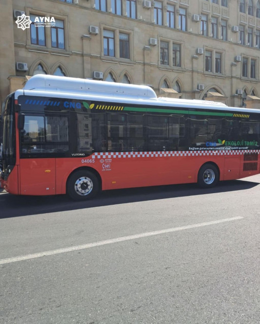 Paytaxtın bu ərazisində hərəkətdə olan avtobuslar yenilənir - FOTO