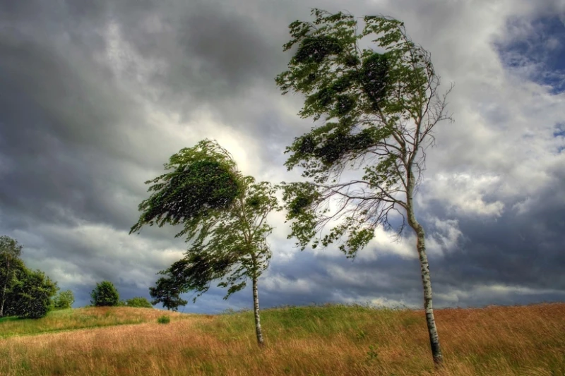 Bazar gününə olan hava proqnozu açıqlanıb