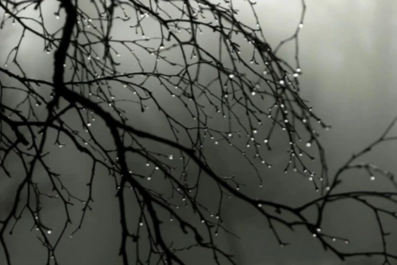 Şənbə günü çiskinli yağış yağacaq