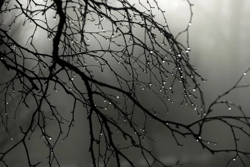 Sabah bəzi yerlərdə çiskin olacaq - PROQNOZ