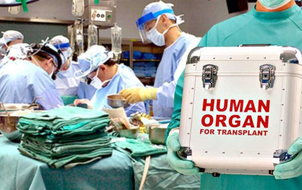 Azərbaycanda orqan transplantasiyası sisteminin elektronlaşdırılması üzərində işlər aparılır