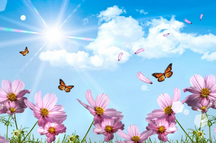 Sabah Bakıda 17, rayonlarda 23 dərəcə isti olacaq - PROQNOZ