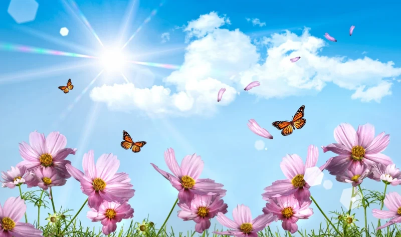 Sabah 22 dərəcə isti olacaq