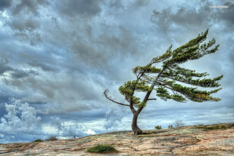 Sabahdan külək güclənəcək - XƏBƏRDARLIQ