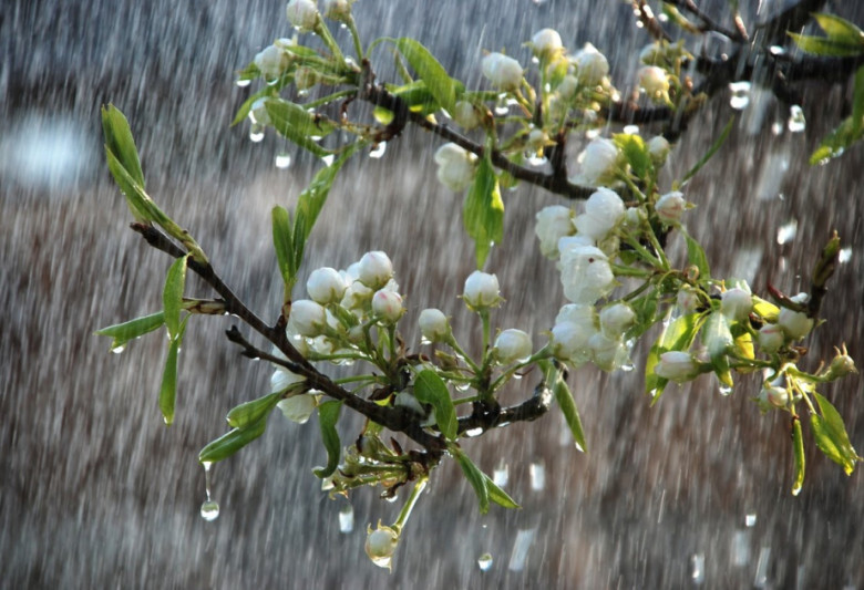 Sabah Bakıda yağış yağacaq