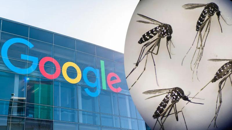 Google ABŞ-də 32 milyona qədər yoluxdurulmuş ağcaqanadı təbiətə buraxmaq istəyir