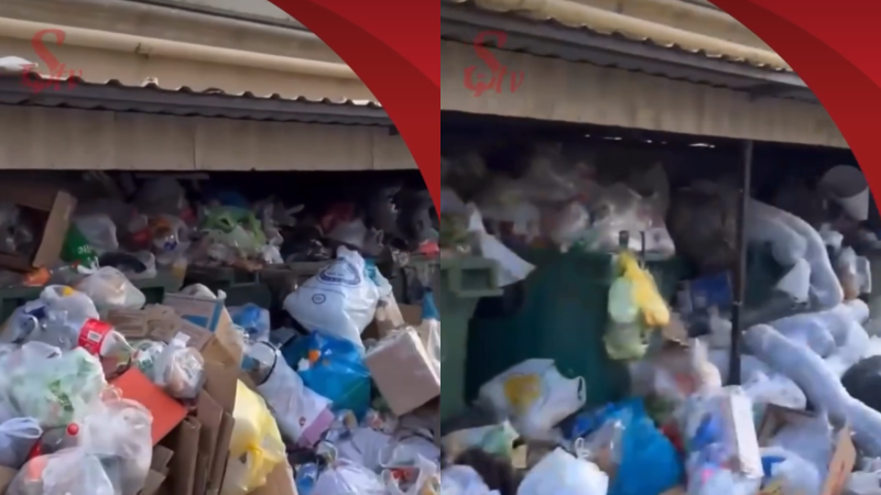 AAAF Park Yaşayış Kompleksində antisanitariya - Sakinlər narazıdırlar + VİDEO