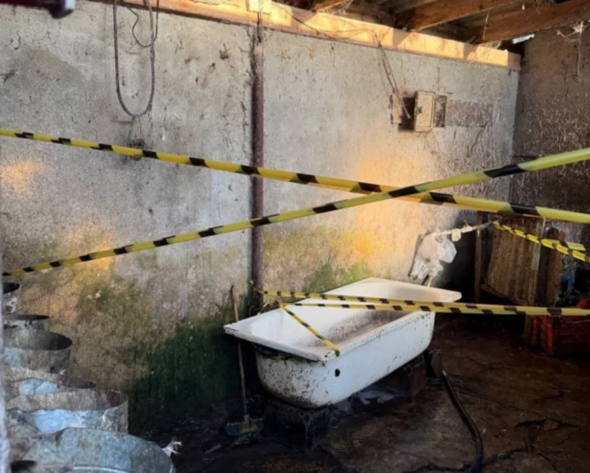 Lənkəranda toyuq kəsimi sexinin fəaliyyəti dayandırılıb