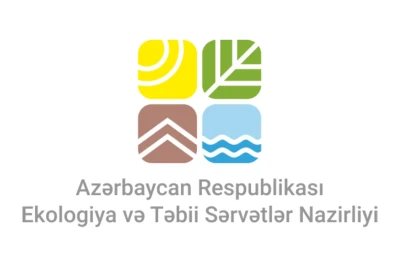 Bakıda ağacəkmə aksiyası keçirilib