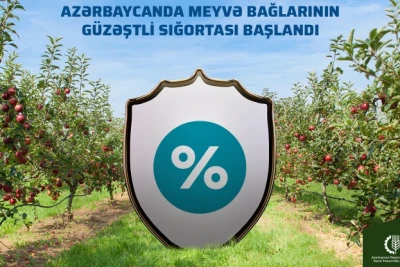 Azərbaycanda aqrar sığortanın əhatə etdiyi məhsulların sırası genişləndirilib