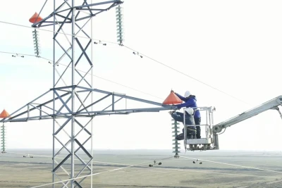 Quşların elektrik xətlərindən qorunması üçün layihəyə start verilib