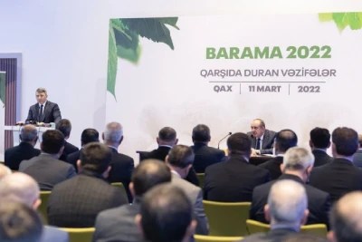 Azərbaycanda baramanın subsidiyası və alış qiyməti artırılıb
