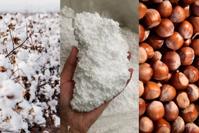 Ölkəmiz hansı qeyri-neft məhsulunun xaricə satışından daha çox pul qazanıb?