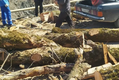 Oğuzda küləyə görə elektrik enerjisi və qaz yoxdur