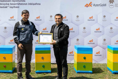 Daşkəsənli arıçı fermerlərə 120 arı ailəsi təqdim olunub