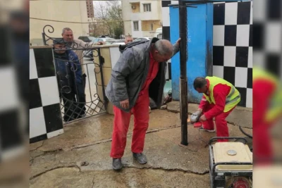 Bakıda qanunsuz heyvan kəsimi məntəqələri aşkarlanıb