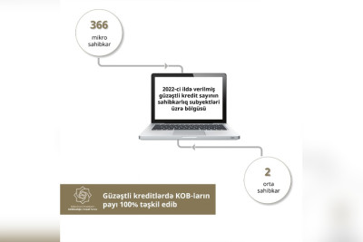 Cari ildə 13,3 milyon manat güzəştli kredit verilib