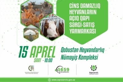 Sabah Qobustan Heyvandarlıq Nümayiş Kompleksində sərgi-satış yarmarkası keçiriləcək