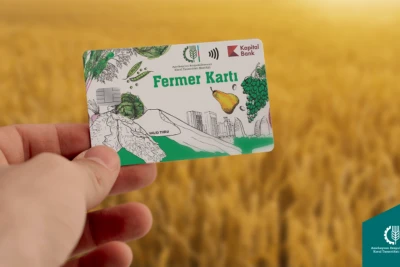 Payızlıq əkinlərə görə fermerlərə 173 milyon manatdan çox subsidiya ödənilib